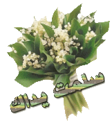 أجمل بيوت الشعر العربي 595662
